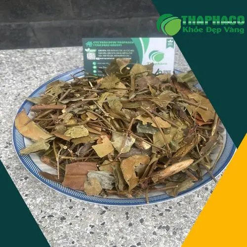 Sản phẩm chè vằng đóng gói tiện lợi của THAPHACO