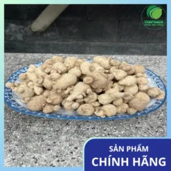 Bao nhiêu tiền 1kg củ tam thất nam tại TP.HCM ?
