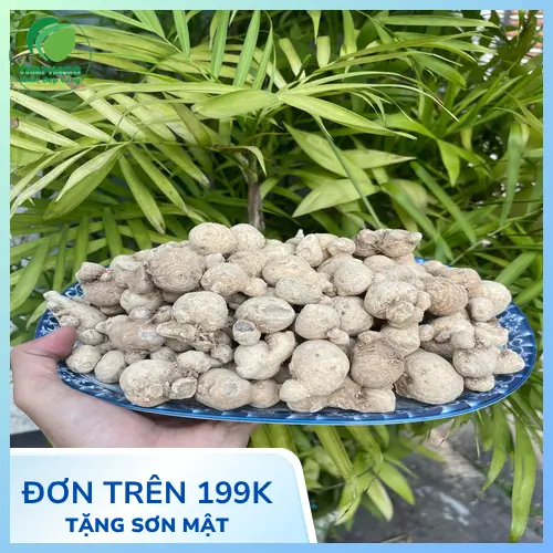 Báo giá củ tam thất nam tại TP.HCM