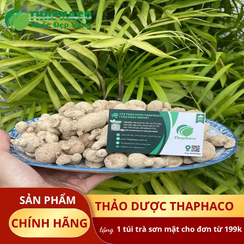 Cách phân biệt củ tam thất nam chất lượng