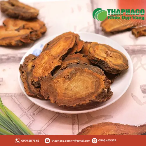 Đại hoàng sấy khô THAPHACO chất lượng cao