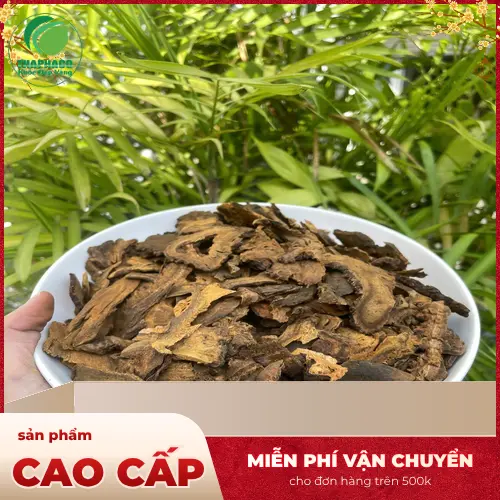Lợi ích sức khỏe từ đại hoàng sấy khô tự nhiên