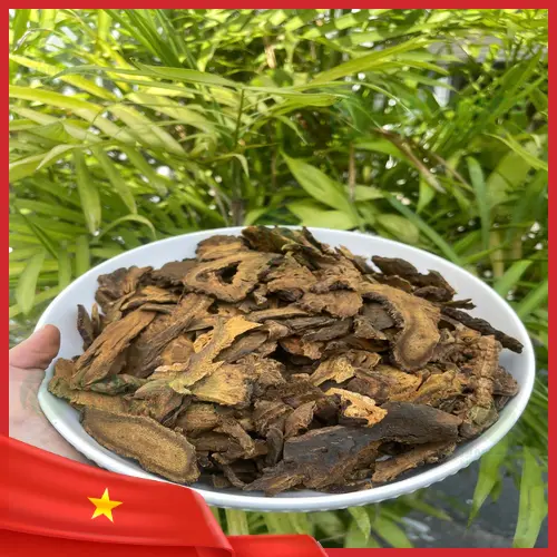 Lát Đại Hoàng Sấy Khô giữ nguyên dưỡng chất