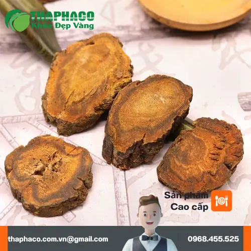 Cách pha chế đại hoàng sấy khô thành trà thảo mộc