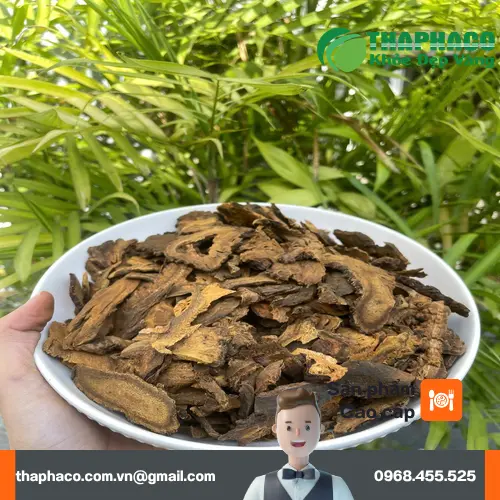 Lát Đại Hoàng sấy khô chất lượng cao