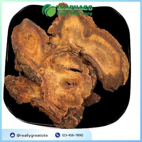 Sản phẩm đại hoàng sấy khô THAPHACO tại cửa hàng TP.HCM
