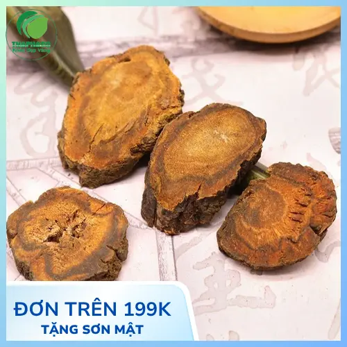 Đại Hoàng Sấy Khô - Nguyên liệu đa năng