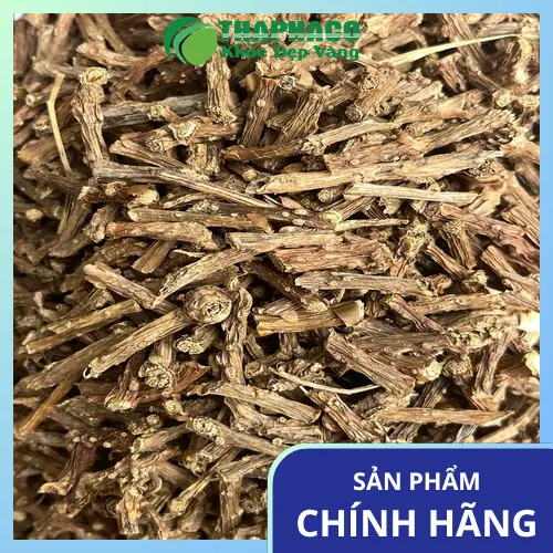 Hình ảnh Dây Thần Thông nguyên bản tươi