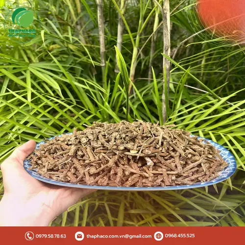 Dây thần thông tươi và khô
