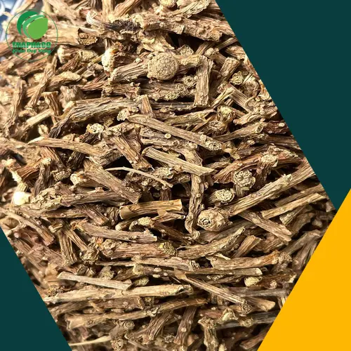 Dây Thần Thông tươi chuẩn bị chế biến