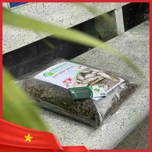 Dây thần thông chất lượng cao tại Trà Hoa Sấy Khô THAPHACO
