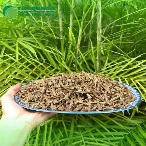 Sản phẩm Dây Thần Thông sấy khô chất lượng cao từ THAPHACO