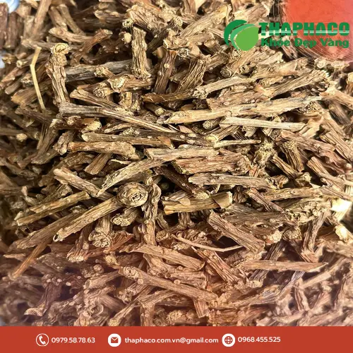 Dây thần thông THAPHACO - Nguyên liệu trà thảo dược