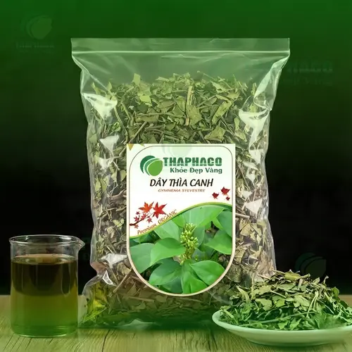 Dây thìa canh tươi, thảo dược quý giá
