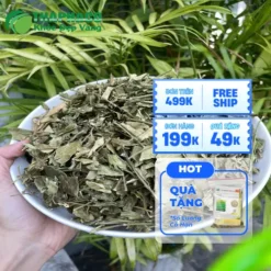 Mua Dây Thìa Canh Uy Tín Tại HCM: Chọn THAPHACO Chất Lượng