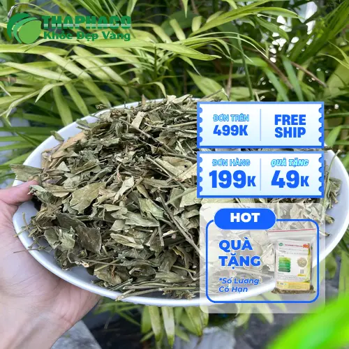 Dây thìa canh sấy khô chất lượng cao của THAPHACO