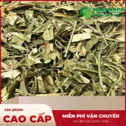 1kg Dây thìa canh giá bao nhiêu? Mua ngay tại THAPHACO