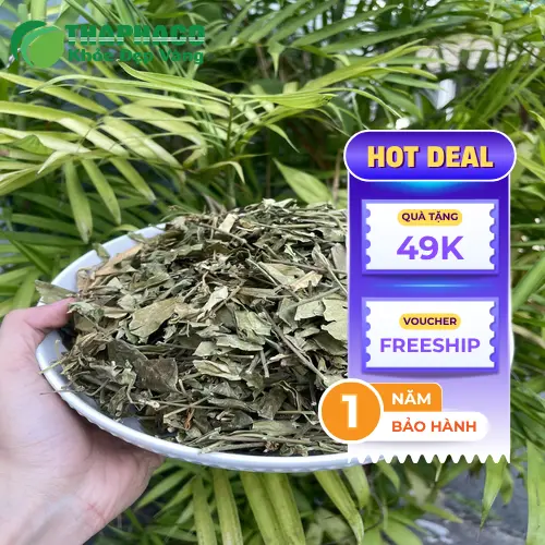 Dây thìa canh khô, nguyên liệu cho trà