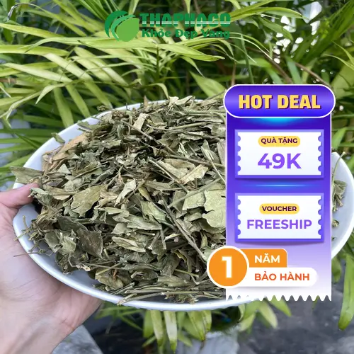 Trà túi lọc dây thìa canh THAPHACO tiện lợi