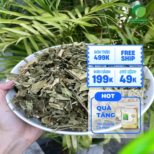 Quy trình sấy khô Dây thìa canh hiện đại