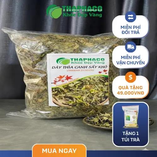 Trà dây thìa canh THAPHACO chất lượng cao