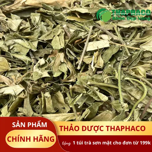 Chuyên gia hướng dẫn sử dụng dây thìa canh