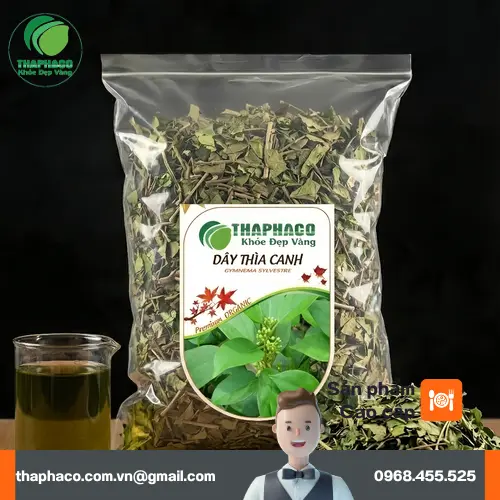 Dây thìa canh hỗ trợ ổn định đường huyết