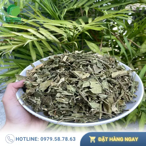 Ly trà dây thìa canh đã pha, thơm ngon bổ dưỡng