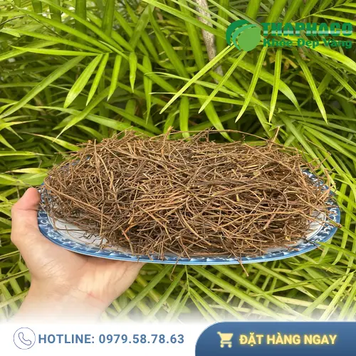 Hình ảnh dây tơ hồng khô chất lượng cao từ THAPHACO