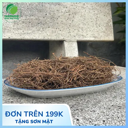 Hình ảnh tổng quan dây tơ hồng trong tự nhiên
