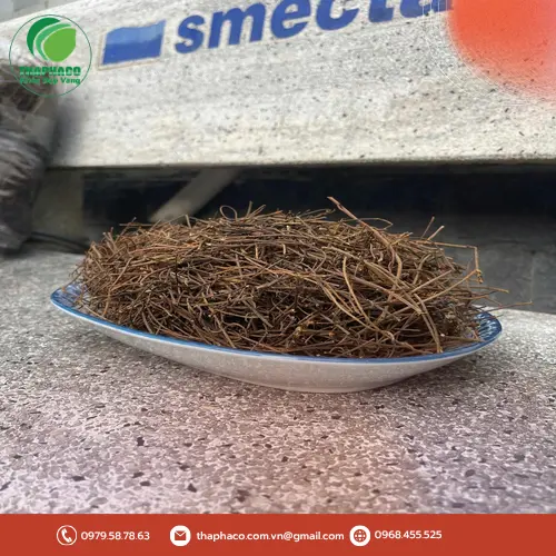 Dây tơ hồng với nhiều công dụng tốt cho sức khỏe