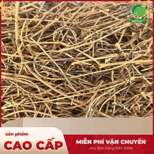 Cách pha trà dây tơ hồng đơn giản tại nhà