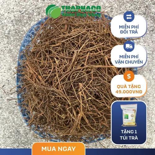 Sản phẩm dây tơ hồng THAPHACO chất lượng cao