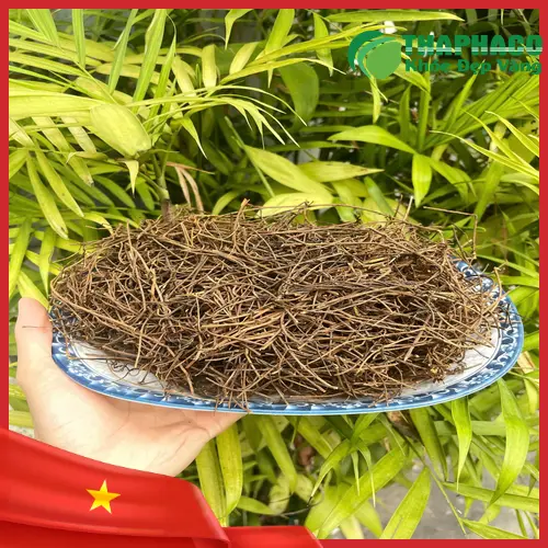 Sản phẩm dây tơ hồng khô chất lượng cao từ THAPHACO