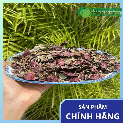 Lá đơn đỏ tươi xanh