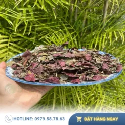 Lá Đơn Đỏ Sấy Khô 1kg THAPHACO: Chất Lượng Vượt Trội, Giá Tốt