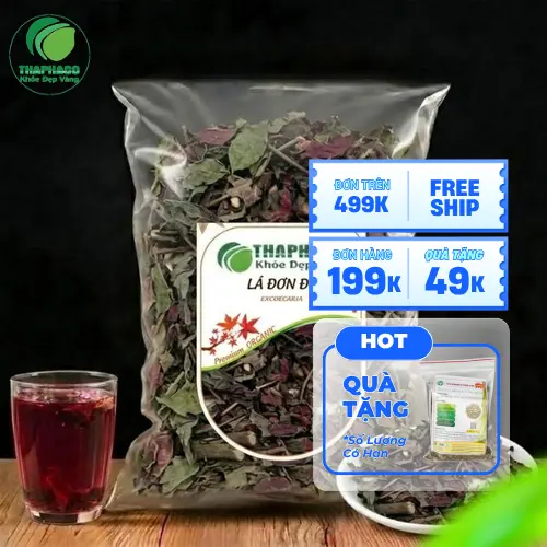 Lá đơn đỏ sấy khô chất lượng cao từ THAPHACO