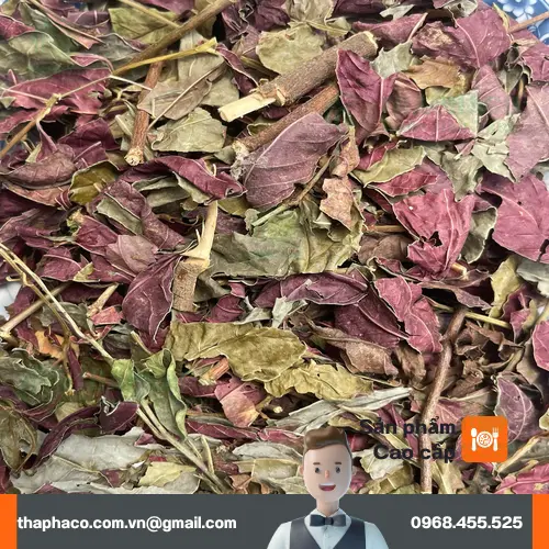 Pha trà lá đơn đỏ đúng cách để tối ưu công dụng