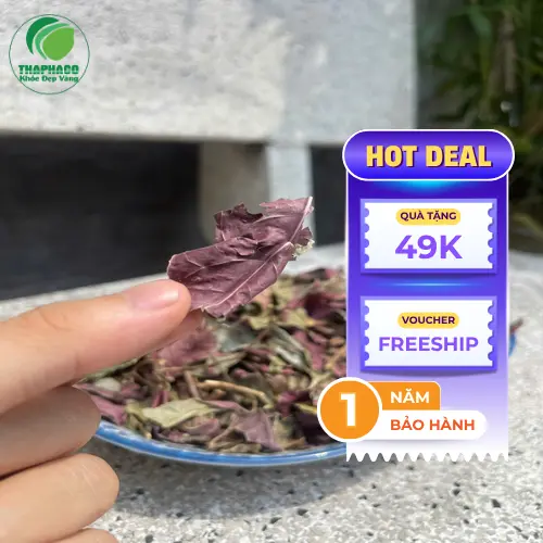 Quy trình sấy khô lá đơn đỏ THAPHACO