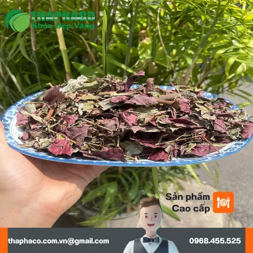 Lá đơn đỏ khô đóng gói tại THAPHACO