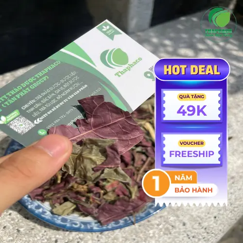Hướng dẫn bảo quản lá đơn đỏ sấy khô đúng cách