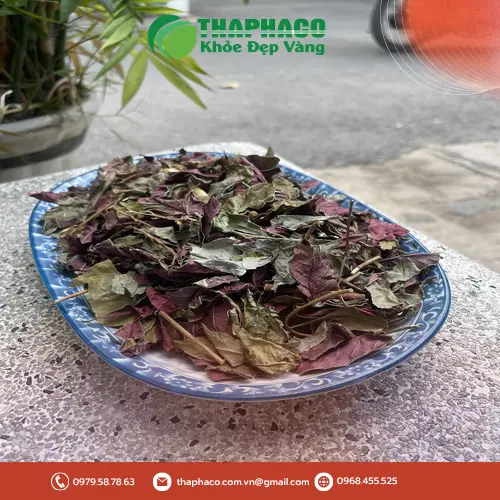 Cách dùng lá đơn đỏ sấy khô