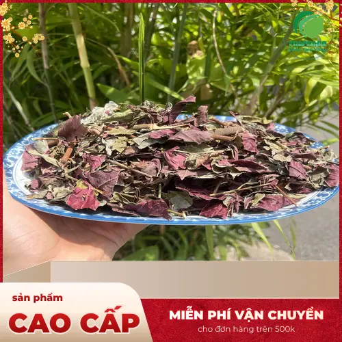 Sản phẩm lá đơn đỏ sấy khô THAPHACO chất lượng cao