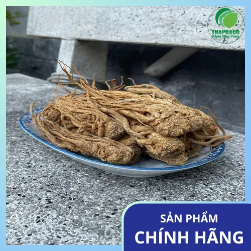 Hình ảnh rễ cây đương quy khô tự nhiên