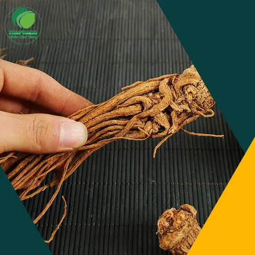 Phụ nữ khỏe mạnh nhờ đương quy