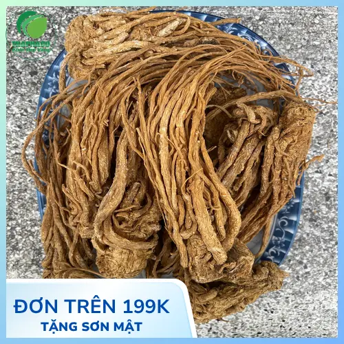 Pha trà Đương quy - Trà thảo mộc tự nhiên