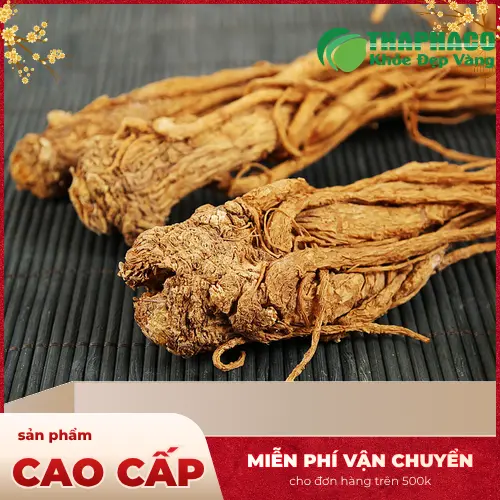 Bảo quản Đương quy khô đúng cách tại nhà