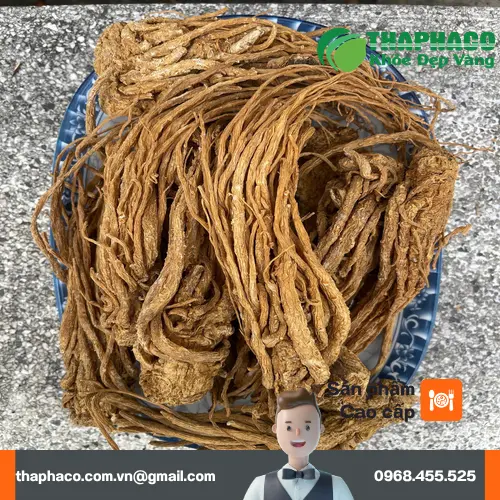 Gói sản phẩm đương quy của Trà Hoa Sấy Khô THAPHACO