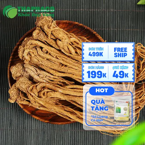 Trà hoa sấy khô THAPHACO địa chỉ uy tín cung cấp đương quy tại TP.HCM