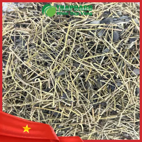 Giảo cổ lam sấy khô nguyên chất tại THAPHACO, tốt cho sức khỏe